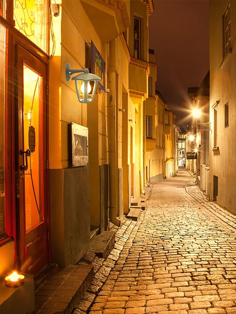 Уличный настенный светильник Apeyron Дели 11-167 Фото № 4