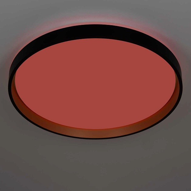 Светильник потолочный Citilux ENZO CL753511G Фото № 7