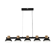 Подвесная светодиодная люстра Indigo Traforo 11059/5PL Black V000184L 4