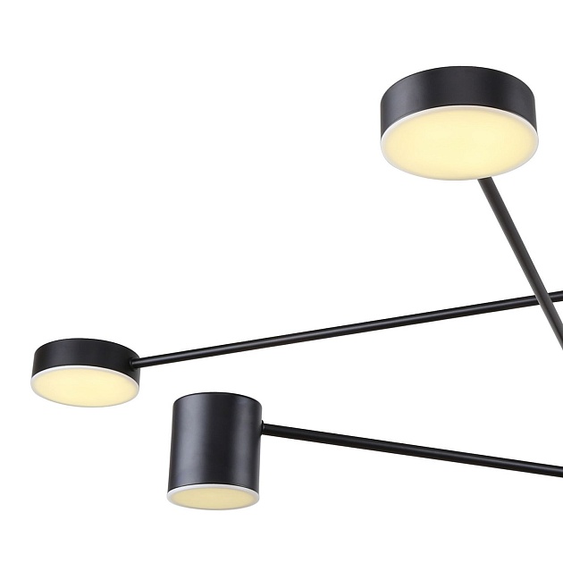 Подвесная люстра F-Promo Ducan 3094-8P Фото № 4