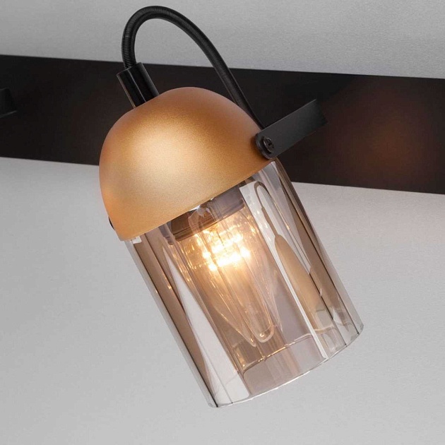 Настенный светильник Eurosvet 20122/3 черный/золото Фото № 2