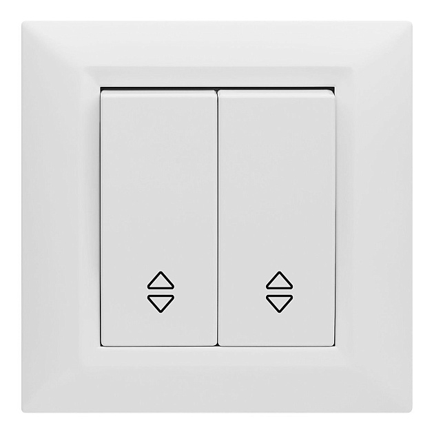 Выключатель двухклавишный проходной Vesta-Electric Roma белый FVK010103BEL изображение 1 Выключатель двухклавишный проходной Vesta-Electric Roma белый FVK010103BEL Фото № 1