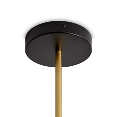 Потолочный светильник Freya FR2051CL-05BBS 5