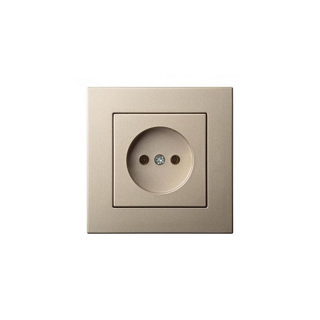 Розетка 2P Liregus Epsilon шампань 28-309 Фото № 1