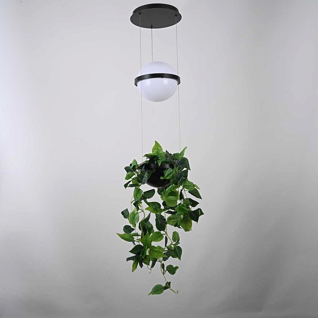 Подвесной светильник Imperium Loft Palma 168489-22 Фото № 3