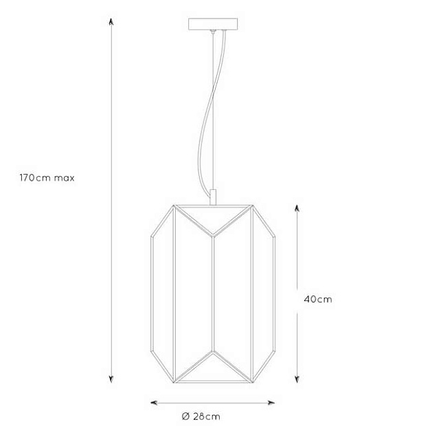 Подвесной светильник Lucide Fern 25406/01/30 изображение 2 Подвесной светильник Lucide Fern 25406/01/30 Фото № 2