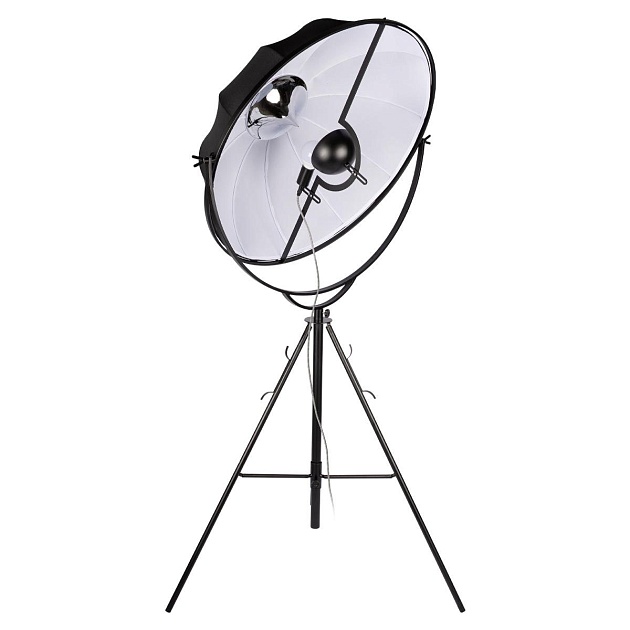 Торшер Loft IT Studio 10301/L изображение 3 Торшер Loft IT Studio 10301/L Фото № 3