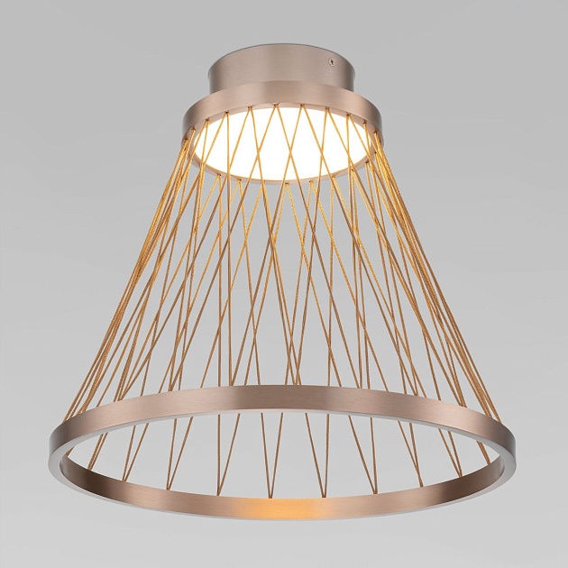 Потолочный светодиодный светильник Eurosvet Cesta 40018/1 LED коричневый изображение 1 Потолочный светодиодный светильник Eurosvet Cesta 40018/1 LED коричневый Фото № 1