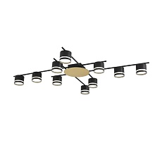 Светильник потолочный Lumion BENUA 8304/10C 1