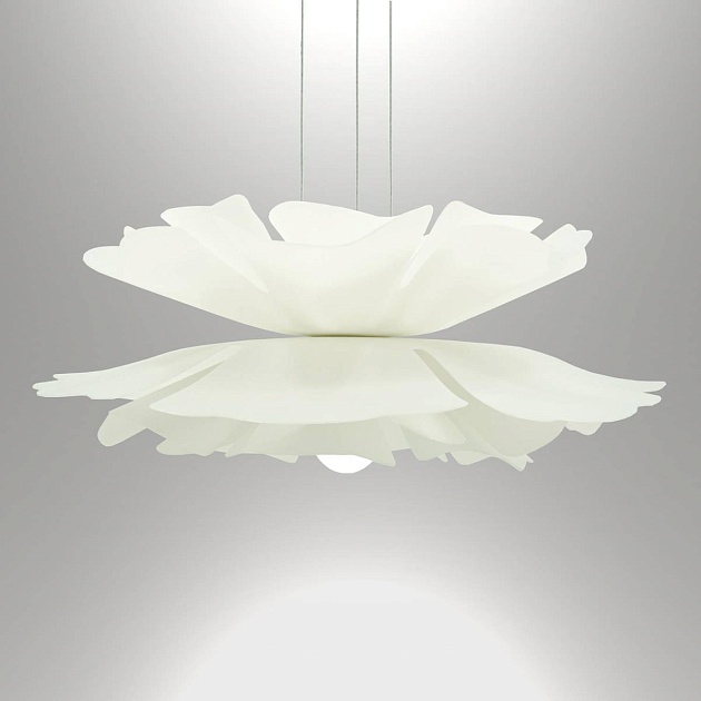 Подвесная люстра Lightera Chad LE116L-55W Фото № 4