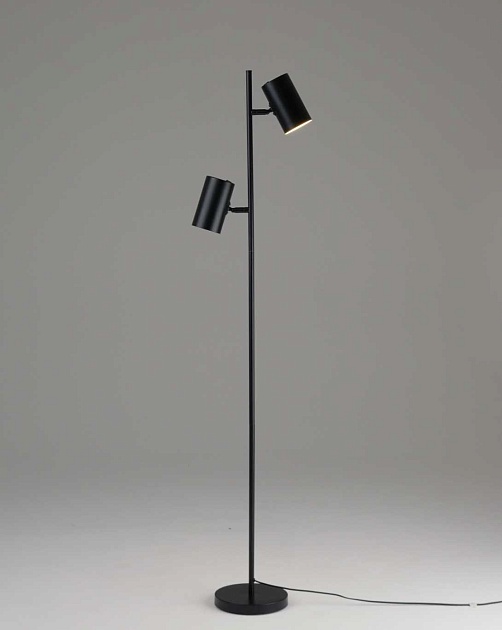 Торшер Moderli Ashes V11329-2F изображение 3 Торшер Moderli Ashes V11329-2F Фото № 3