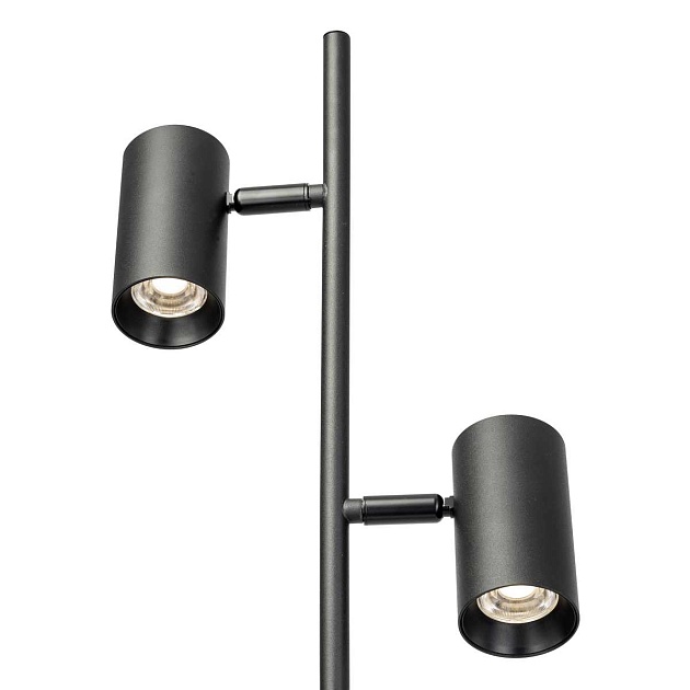 Торшер Citilux CL809011N Фото № 5