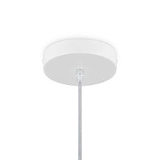 Подвесной светильник Freya Cottage FR5405PL-01W 1