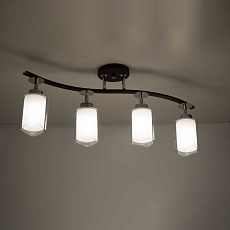 Спот Citilux Фортуна CL156142 3