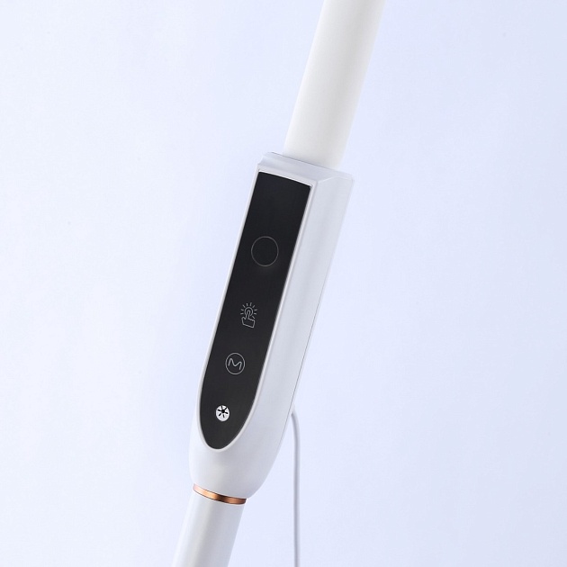 Торшер Ambrella light Traditional TR97701 изображение 8 Торшер Ambrella light Traditional TR97701 Фото № 8