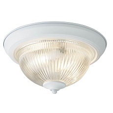Потолочный светильник Arte Lamp Aqua A9370PL-2WH 1