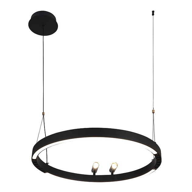 Подвесная светодиодная люстра F-Promo Slinga 4474-1P изображение 1 Подвесная светодиодная люстра F-Promo Slinga 4474-1P Фото № 1