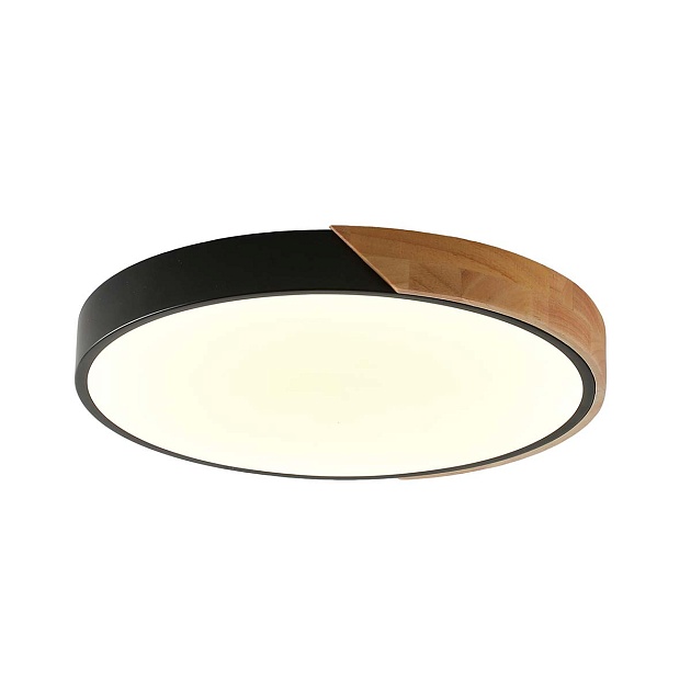 Потолочный светильник Zortes ALBERRO ZRS.01287.36 изображение 1 Потолочный светильник Zortes ALBERRO ZRS.01287.36 Фото № 1