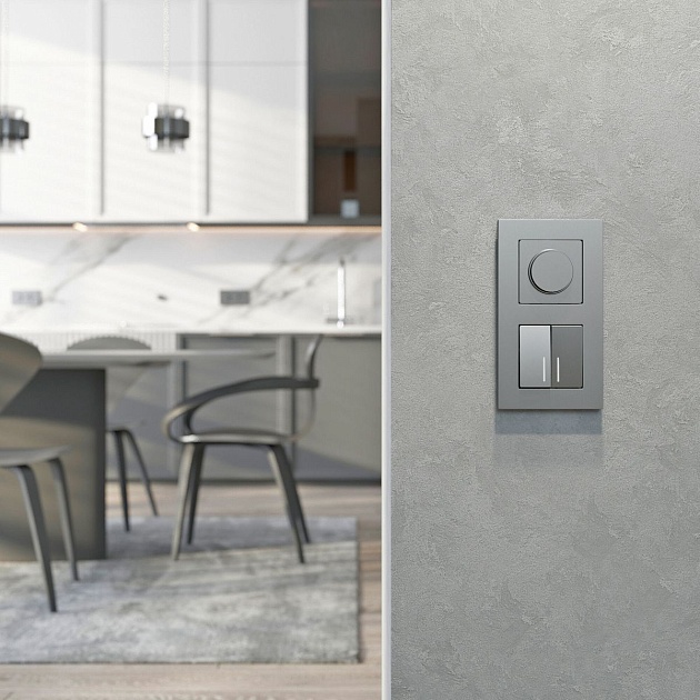 Диммер N Werkel серебряный матовый W1142065 4690389213045 Фото № 2