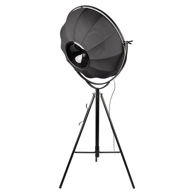 Торшер Loft IT Studio 10301/M изображение 5 Торшер Loft IT Studio 10301/M Фото № 5