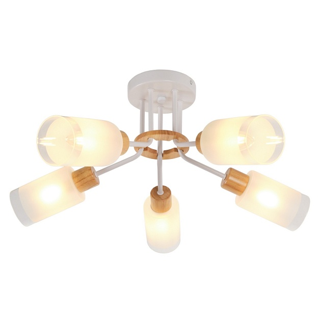 Потолочная люстра MyFar Linda MR1860-5C изображение 1 Потолочная люстра MyFar Linda MR1860-5C Фото № 1