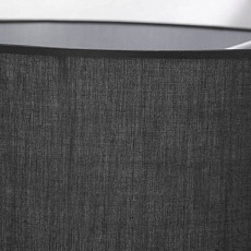 Торшер Lussole Wrangell LSP-0524 4