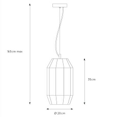 Подвесной светильник Lucide Fern 25408/01/30 1