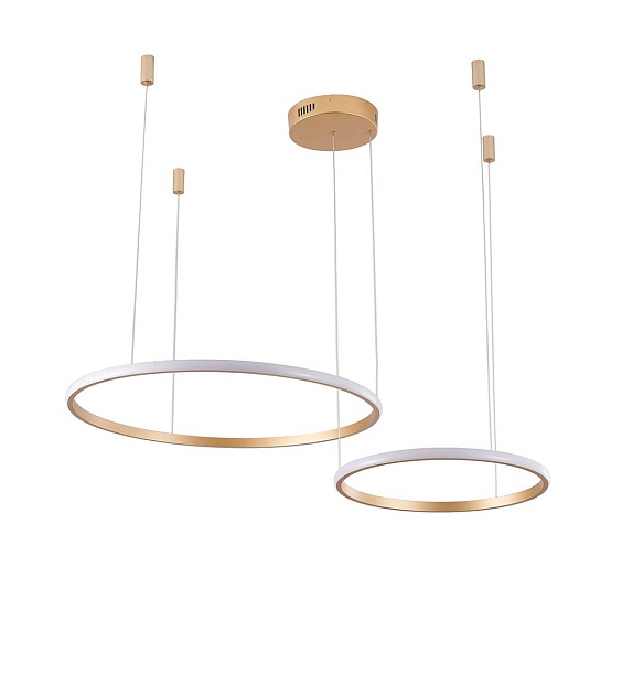 Подвесной светильник Zortes RINGOLIGHT ZRS.33320.63F Фото № 3