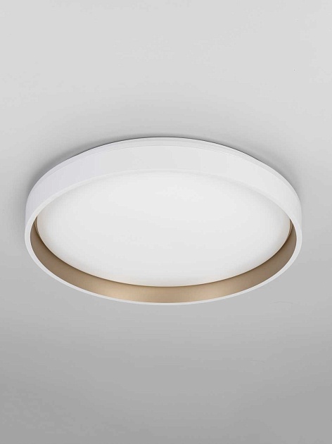 Светильник потолочный Citilux ENZO CL753450G Фото № 8