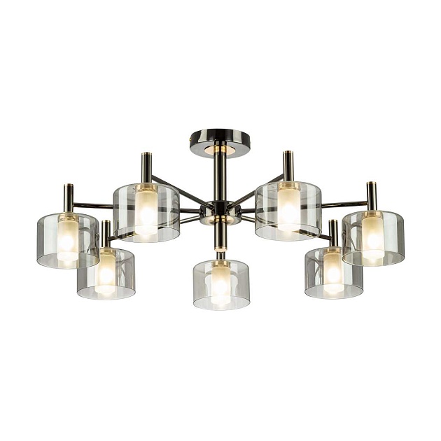 Люстра на штанге Citilux ELAN CL241171 Фото № 6