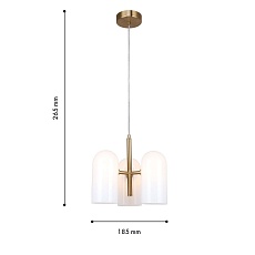 Подвесная люстра F-Promo Barfila 4619-3P 1