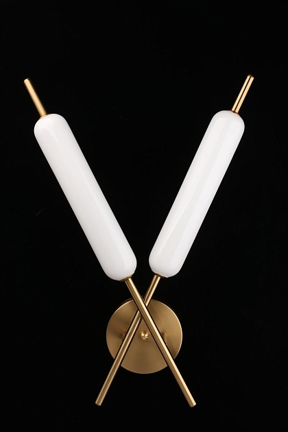 Настенный светильник Aployt Carla APL.010.01.16 Фото № 3