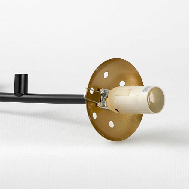 Подвесная люстра Lussole LSP-8889 Фото № 5