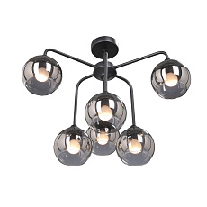 Потолочная люстра Vitaluce V4553-1/6PL 2