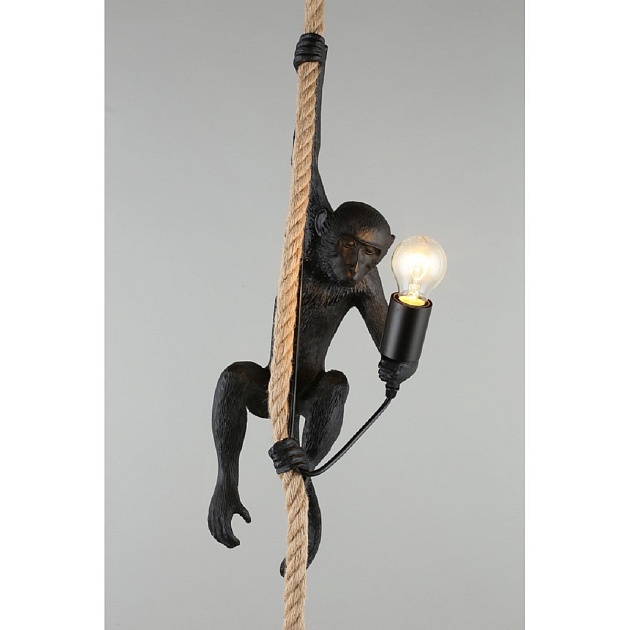 Подвесной светильник Aployt Magali APL.309.16.01 изображение 4 Подвесной светильник Aployt Magali APL.309.16.01 Фото № 4