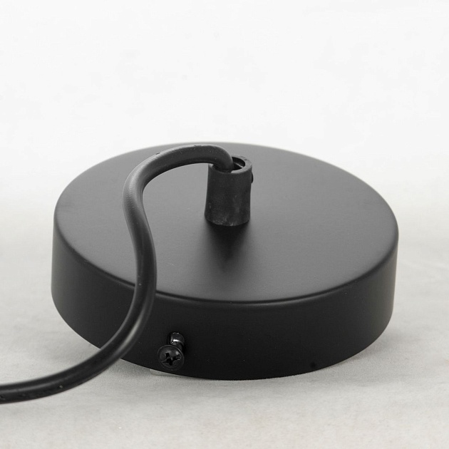 Подвесной светильник Lussole Loft Truman LSP-8571 Фото № 4