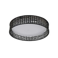 Потолочный светильник F-Promo 4750-4C 1