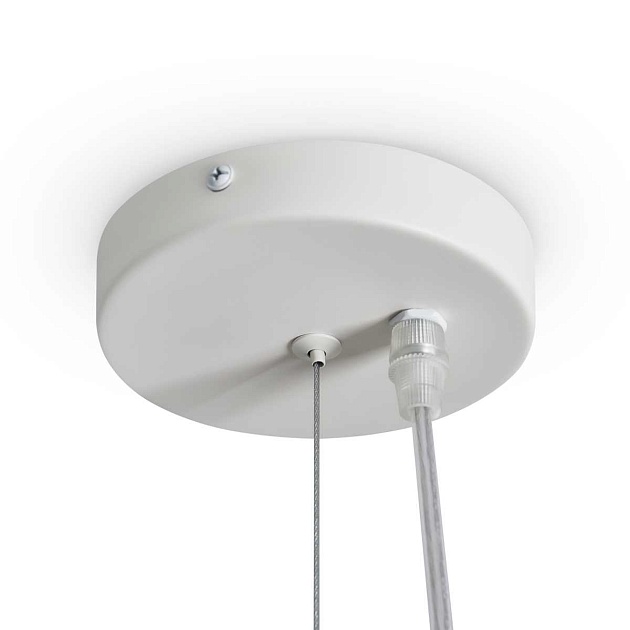 Подвесной светильник Freya Modern FR5555PL-L30BGG изображение 7 Подвесной светильник Freya Modern FR5555PL-L30BGG Фото № 7