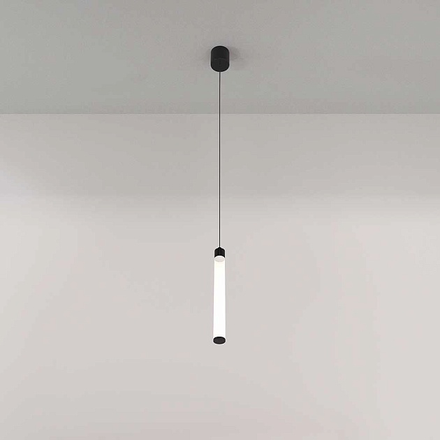 Подвесной светильник Maytoni Ray P022PL-L10B Фото № 5