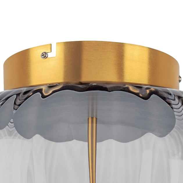 Потолочный светодиодный светильник Lightstar Celesta 809061 Фото № 2