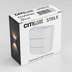 Уличный настенный светильник Citilux CLU0730 2