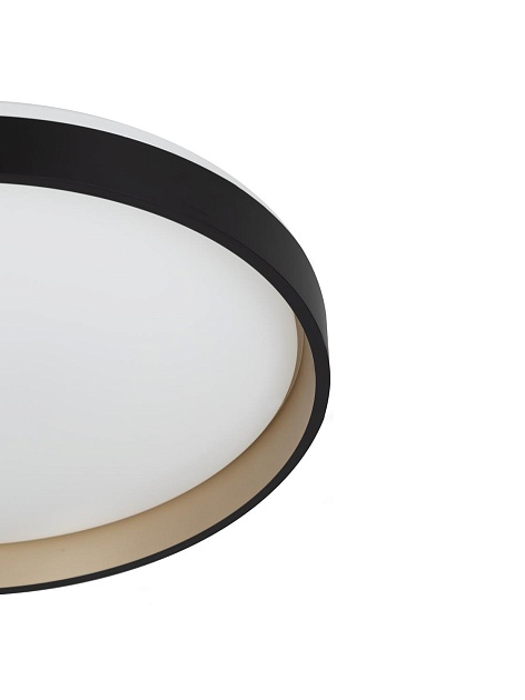 Светильник потолочный Citilux ENZO CL753451G Фото № 5