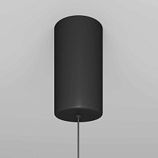 Подвесной светильник Maytoni Ray P022PL-L10B 2