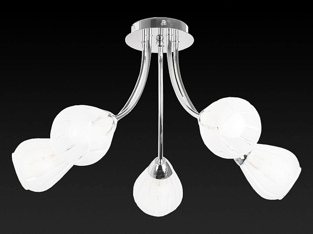 Потолочная люстра Toplight Fay TL3660X-05CH Фото № 3