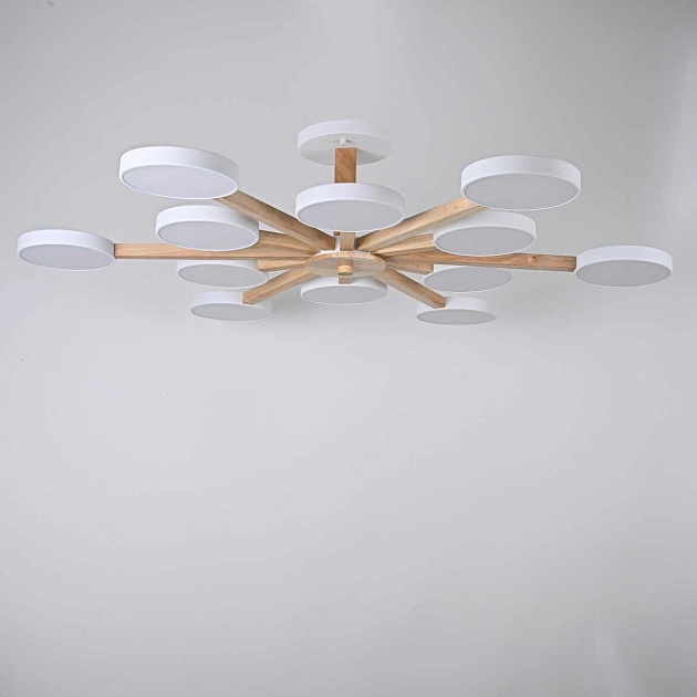 Потолочный светильник Imperium Loft TURNA-B01 228851-26 Фото № 4