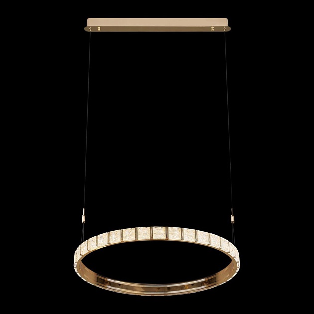 Подвесная светодиодная люстра Wertmark Vera WE458.01.343 Фото № 1