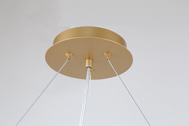 Подвесная люстра Favourite Ginkoa 4080-10P изображение 8 Подвесная люстра Favourite Ginkoa 4080-10P Фото № 8