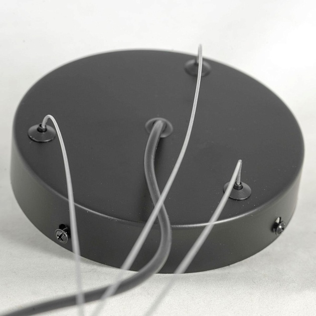 Подвесная люстра Lussole Loft LSP-8750 Фото № 6