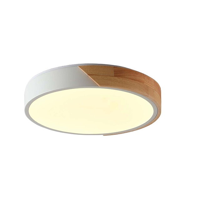 Потолочный светильник Zortes ALBERRO ZRS.01289.36 Фото № 1