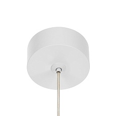 Подвесной светильник Citilux Bruno CL565010 3